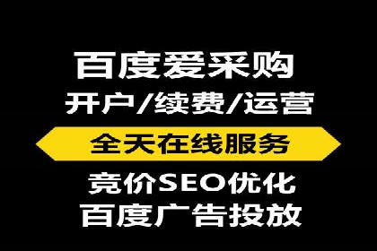 解析某某SEM服务公司的广告投放策略与效果评估